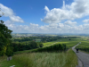 Wanderung Göcklingen,
14. April 2024